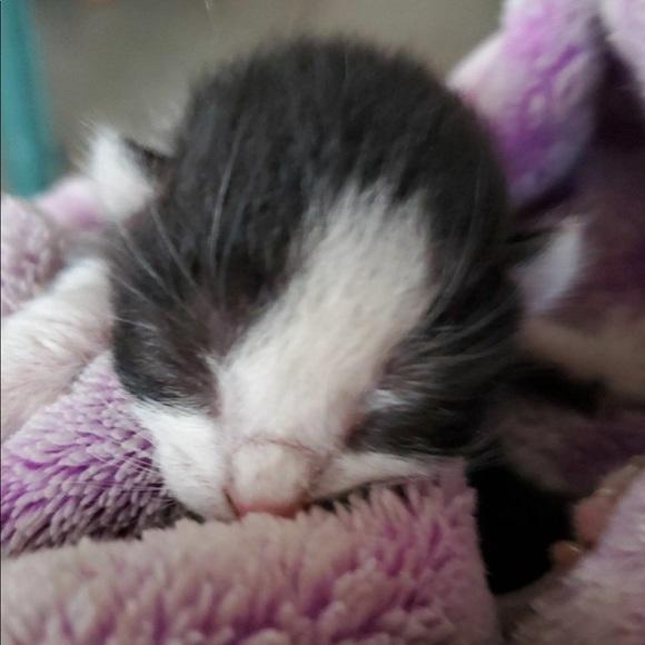 Meet your Posher, Marisol - Picture 1 of 1